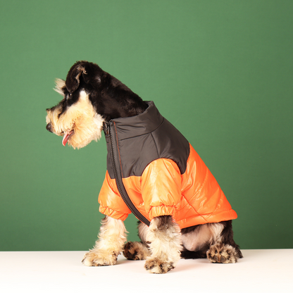 Dog Winter Jacket